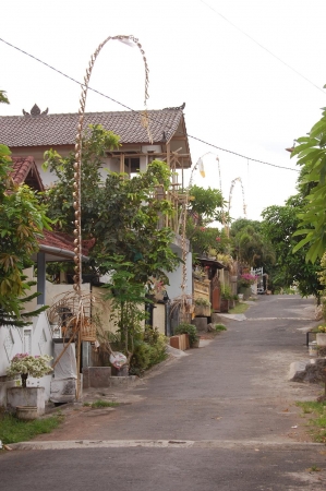 Zdjęcie z Indonezji - 