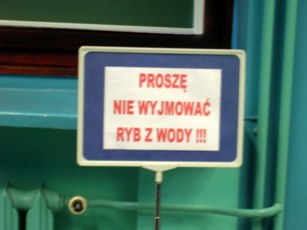 Zdjęcie z Polski - 