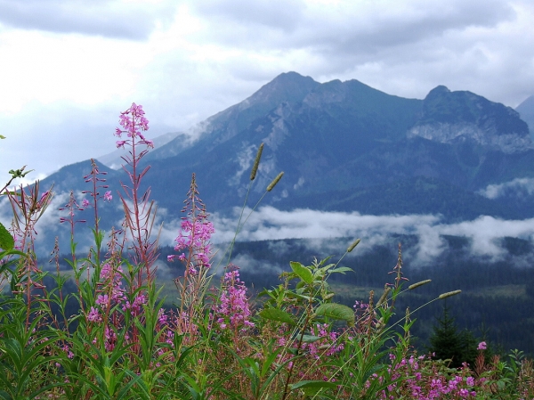 Zdjecie - Polska - TATRY - Zakopane, Bukowina Tatrzańska