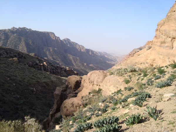 Zdjęcie z Jordanii - Dana Park Narodowy