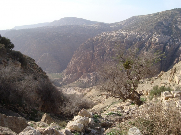 Zdjęcie z Jordanii - Dana Park Narodowy
