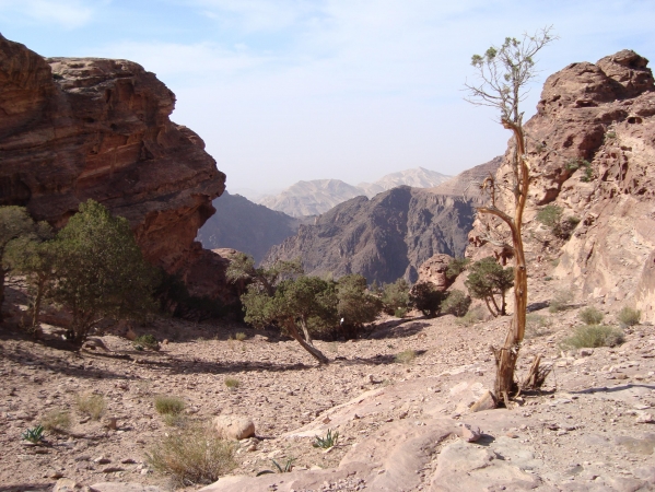 Zdjęcie z Jordanii - Petra
