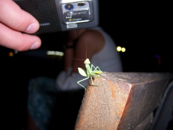 Zdjęcie z Grecji - nasz przewodnik :)