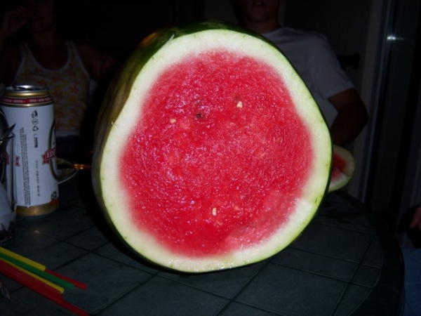 Zdjęcie z Grecji - arbuz party