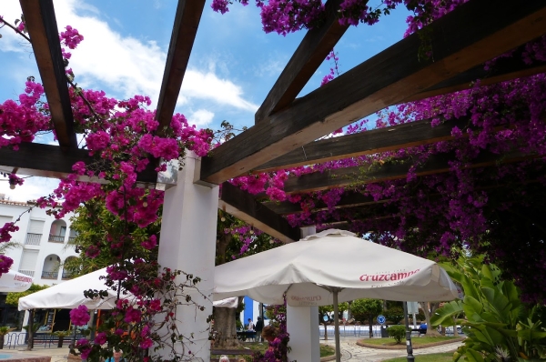 Zdjęcie z Hiszpanii - Nerja