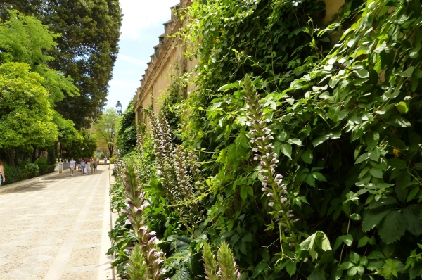 Zdjęcie z Hiszpanii - znajduje się tutaj urokliwy ogródek Jardin de las Tres Fuentes
