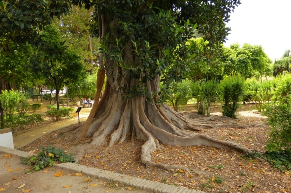 Zdjęcie z Hiszpanii - Jardin de las Tres Fuentes