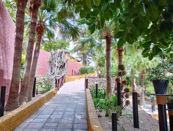 Zdjęcie z Hiszpanii - w Jardim de Marocco
