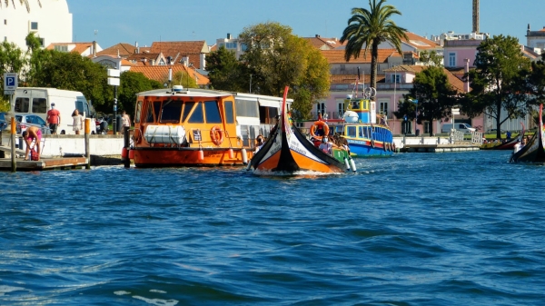 Zdjęcie z Portugalii - w czasie rejsu kanałami Aveiro