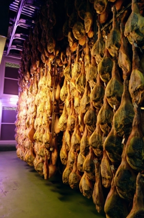 Zdjęcie z Hiszpanii - Ciekawostka: przez wiele lat Hiszpanie importowali nasze mięso wieprzowe z Polski na jamon serrano 