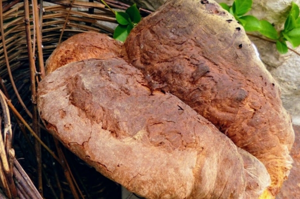 Zdjęcie z Włoch - sercowy chlebek z Altamury wyrabiany jest z semoliny z tutejszej odmiany 
