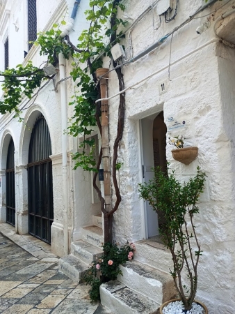 Zdjęcie z Włoch - uliczki Polignano Mare...