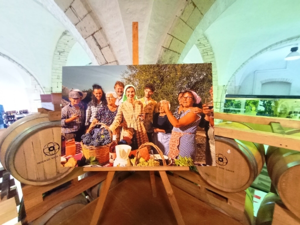 Zdjęcie z Włoch - Albea - to winnica, winiarnia i jednocześnie niewielkie muzeum 