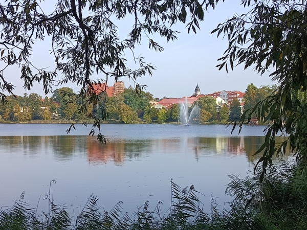 Zdjęcie z Polski - 