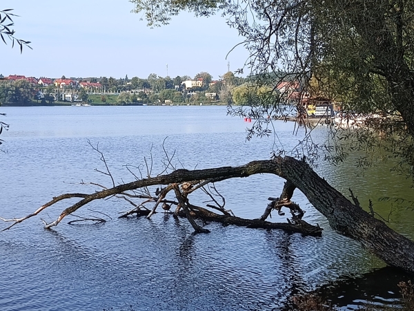 Zdjęcie z Polski - 