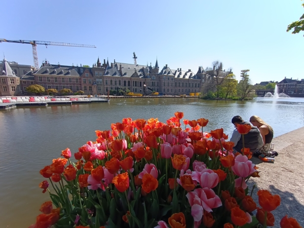 Zdjęcie z Holandii - z widokiem na Binnenhof 