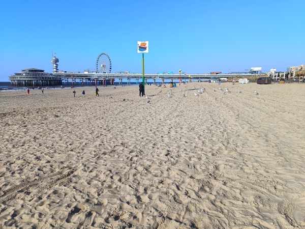 Zdjęcie z Holandii - Scheveningen słynie z molo o długości 400 m oraz  licznych deptaków.