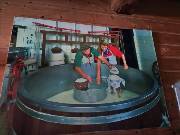 Zdjęcie z Holandii - przydomowa produkcja sera na niewielką lokalną skalę