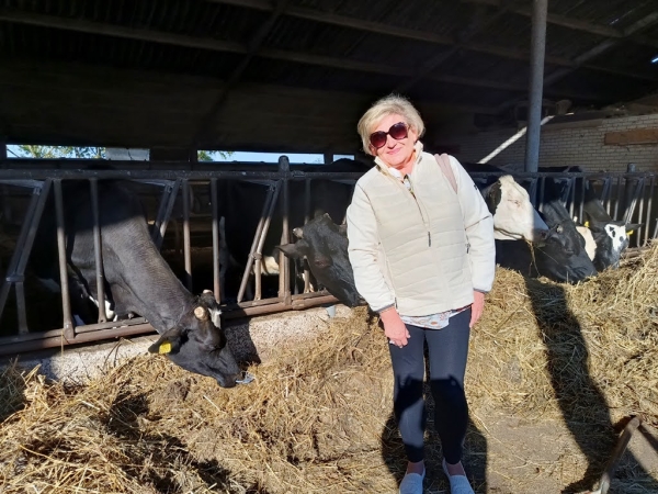 Zdjęcie z Holandii - he he; u nas Mućki, Łatki i Kropki  a tam Gertrudy, Margherity i Wilhelminy:)) 