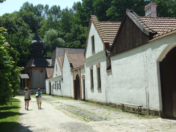 Zdjęcie z Polski - 
