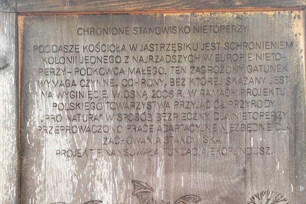 Zdjęcie z Polski - Jastrzębik