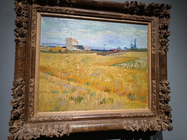 Zdjęcie z Holandii - "Pole Pszenicy" (bez kruków) - Vincent van Gogh; olej na płótnie 1888r;