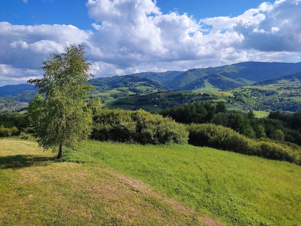 Zdjęcie z Polski - Wola Krogulecka