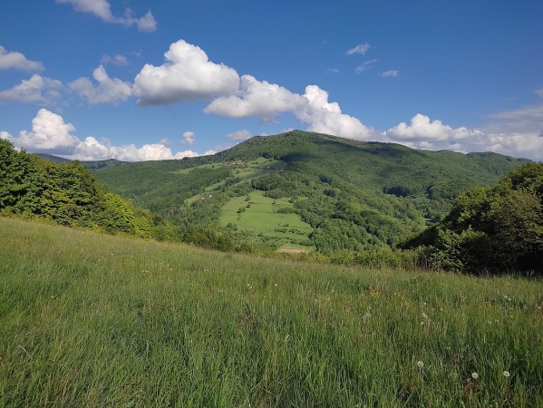 Zdjęcie z Polski - Wola Krogulecka