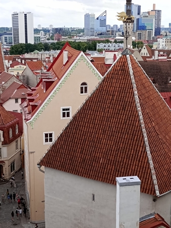 Zdjęcie z Estonii - 