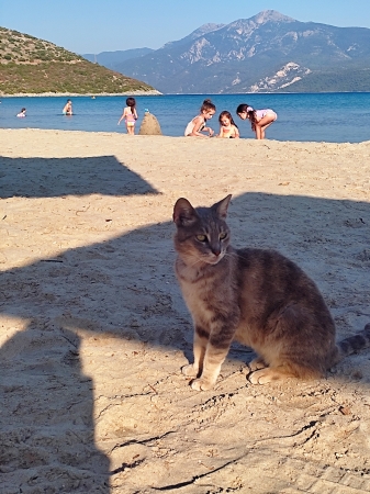 Zdjęcie z Grecji - Plaża Psili Ammos
