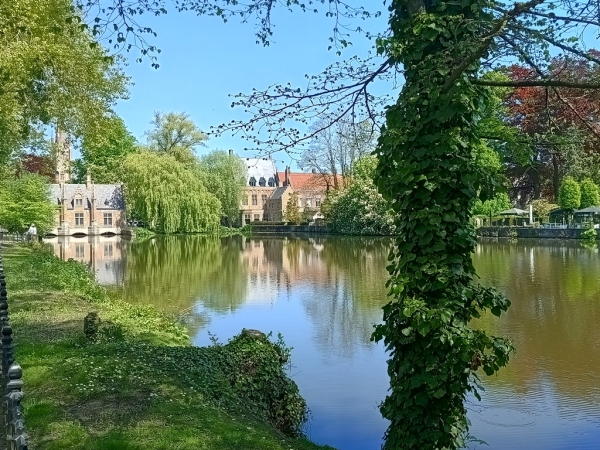 Zdjęcie z Belgii - Brugia