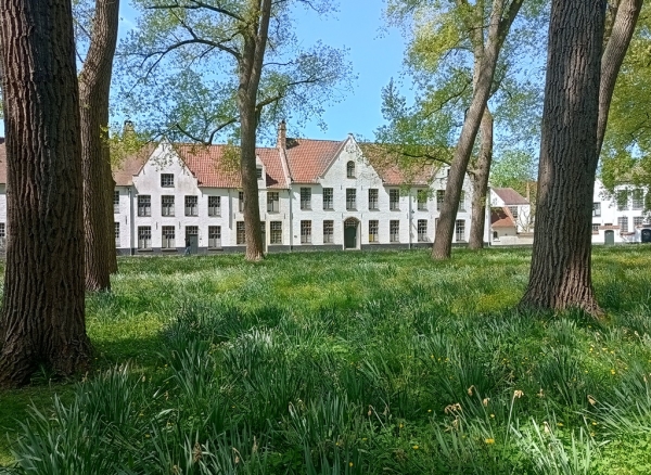 Zdjęcie z Belgii - Brugia 