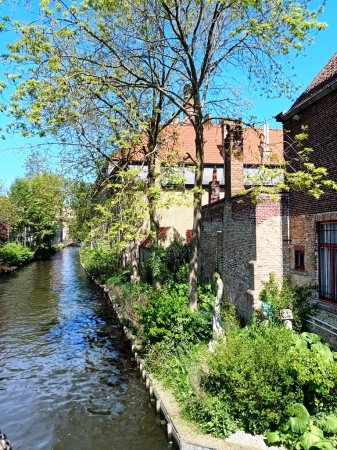 Zdjęcie z Belgii - Brugia