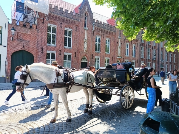 Zdjęcie z Belgii - Brugia