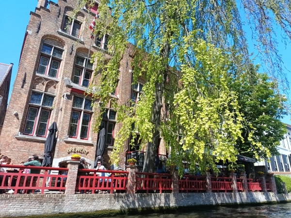 Zdjęcie z Belgii - Brugia