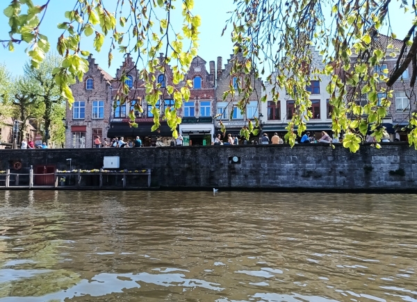 Zdjęcie z Belgii - Brugia