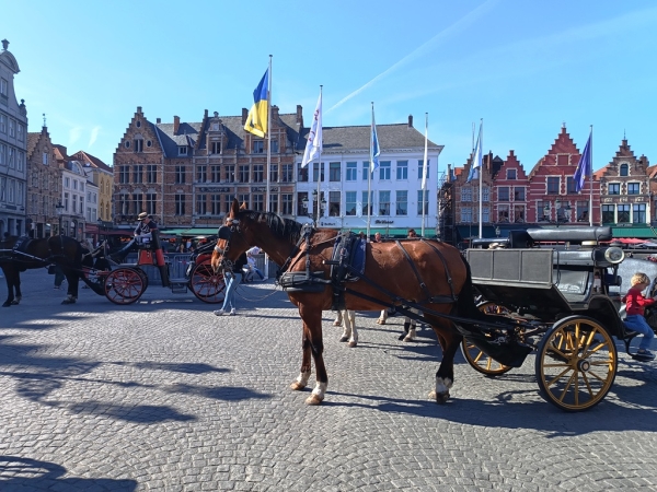 Zdjęcie z Belgii - Brugia