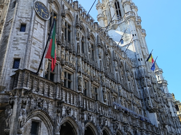 Zdjęcie z Belgii - ....