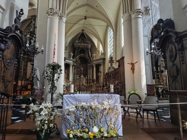 Zdjęcie z Belgii - ...