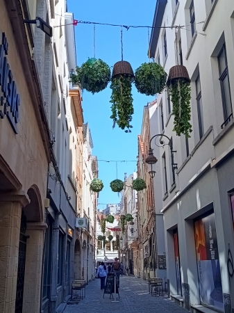 Zdjęcie z Belgii - ...