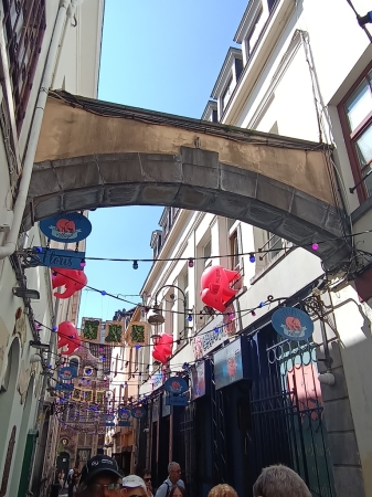 Zdjęcie z Belgii - ...