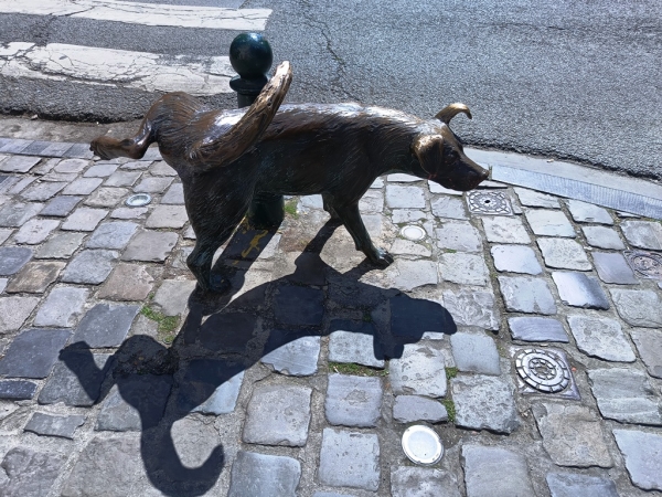 Zdjęcie z Belgii - Zinneke Pis ma symbolizować wielokulturowość Brukseli; jako miasto