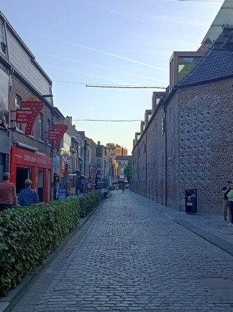 Zdjęcie z Belgii - Hasselt; spacerkiem po uliczkach małego, nieturystycznego miasteczka wśród Belgów...