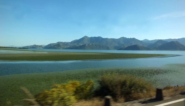 Zdjęcie z Czarnogóry - j.Szkoderskie