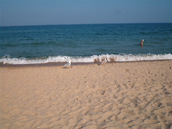 Zdjęcie z Bułgarii - 