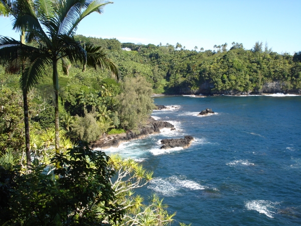 Zdjęcie ze Stanów Zjednoczonych - Hawaje - Big Island