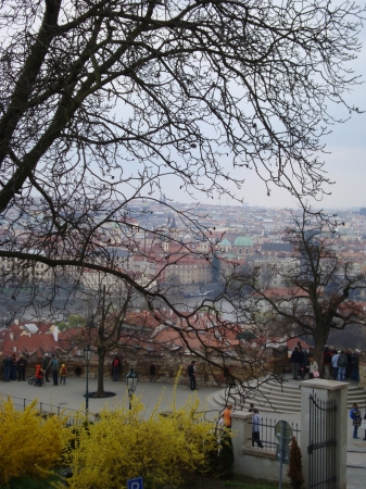Zdjęcie z Czech - Praga