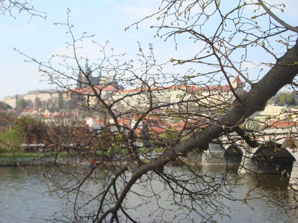 Zdjęcie z Czech - Praga