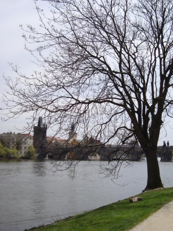 Zdjęcie z Czech - Praga