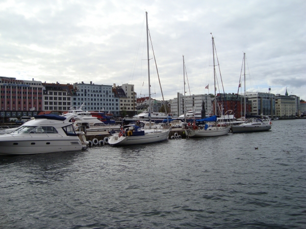 Zdjęcie z Norwegii - 